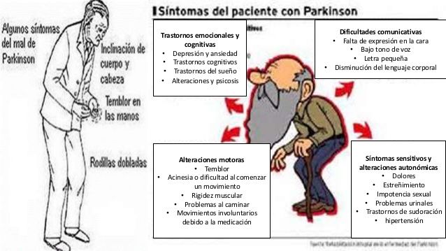 PATOLOGÍAS POR ALTERACIONES EN LOS GANGLIOS BASALES.
