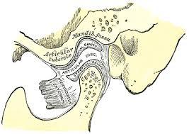 ARTICULACION TEMPOROMANDIBULAR (ATM)