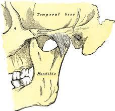 ARTICULACION TEMPOROMANDIBULAR (ATM)