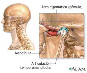 ARTICULACION TEMPOROMANDIBULAR (ATM)