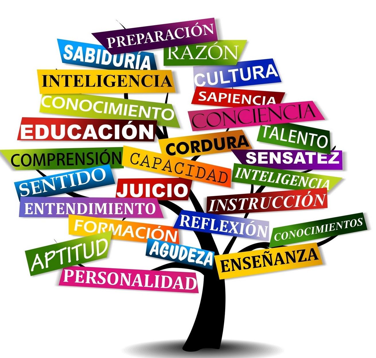 IDENTIDAD UNADISTA