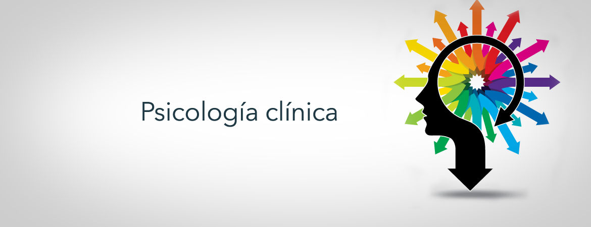 De que manera logro escoger la carrera que en este momento cursa en la UNAD