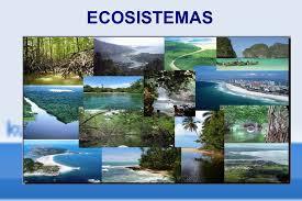 APLICACION DE LA PSICOLOGIA EN EL ESTUDIO DE LA ECOLOGIA HUMANA