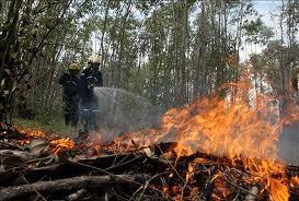 APLICACION DE LA PSICOLOGIA EN EL ESTUDIO DE LA ECOLOGIA HUMANA