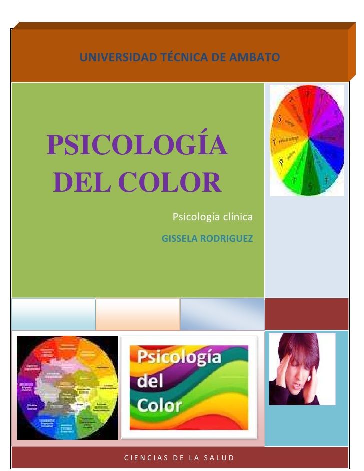 de que manera llegue a escoger la carrera que en este momento curso