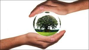 APLICACION DE LA PSICOLOGIA EN EL ESTUDIO DE LA ECOLOGIA HUMANA