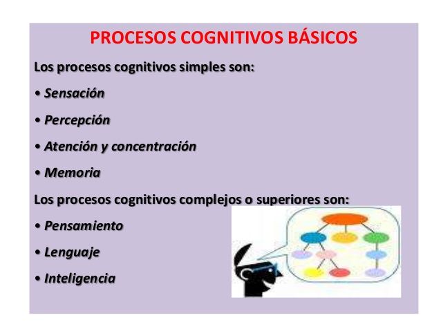 Mi PLE en el área de Procesos cognitivos.