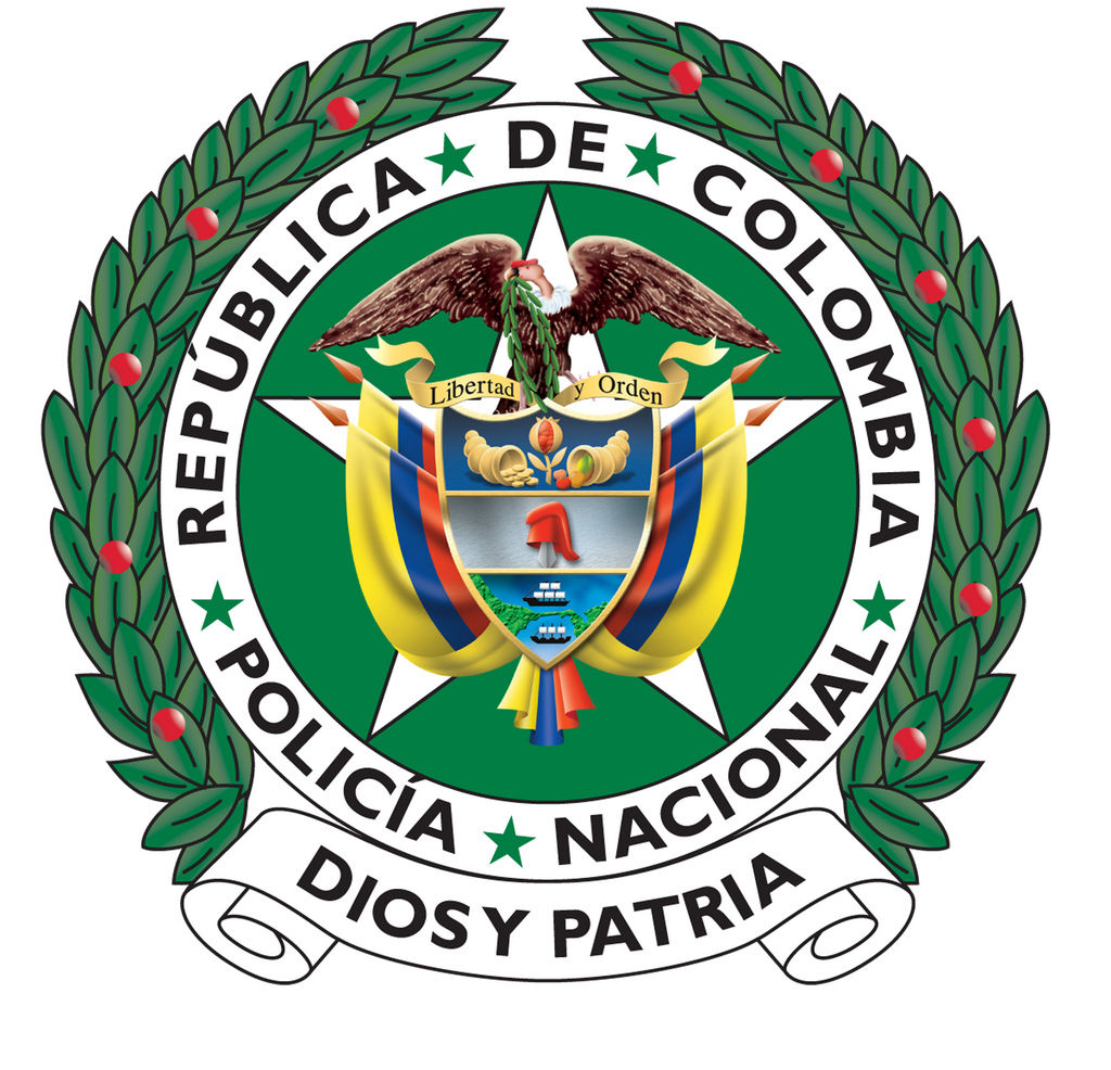 ¿De qué manera llego a escoger la carrera que en este momento cursa en la UNAD?.