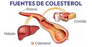 Enfermedades hipocineticas
