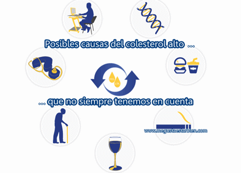 Enfermedades hipocineticas