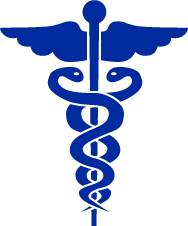 triangulo de la salud- lado fisico