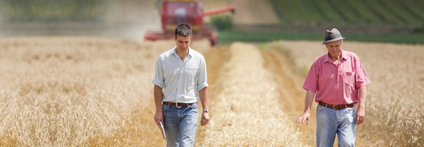 Mix del Mercado Productividad Agraria Incluyente a partir de Educación Financiera