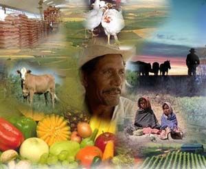 Mix del Mercado Productividad Agraria Incluyente a partir de Educación Financiera