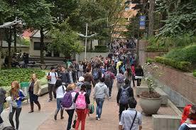 De qué manera llegue a escoger la carrera que en este momento curso en la UNAD.