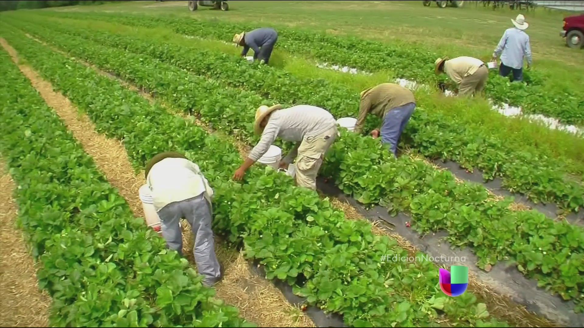 ADMINISTRACIÓN DE RECURSOS HUMANOS