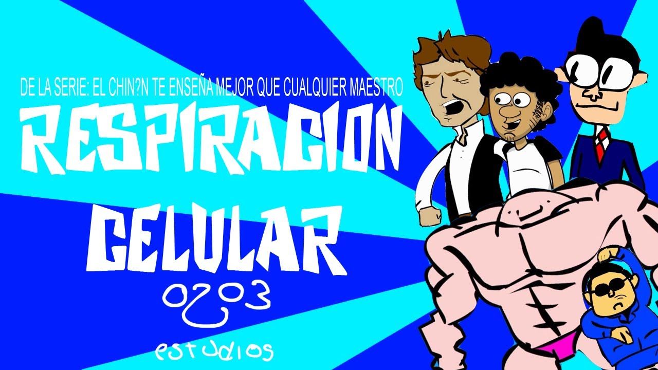 Respiracion Celular proceso