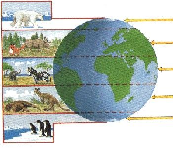 Representaciones geográficas de la tierra