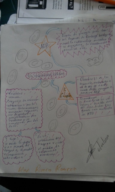 mapa de repiracion celular- alan rivera