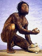 Línea de Tiempo: Evolución Humana