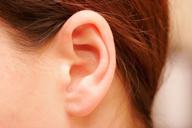 Sistemas sensoriales y su funcionamiento