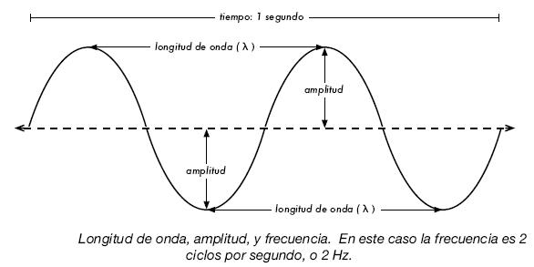 El sistema auditivo y la musicoterapia