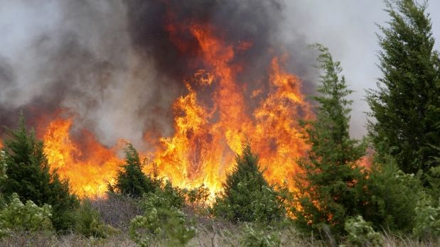 CONTAMINACIÓN AMBIENTAL