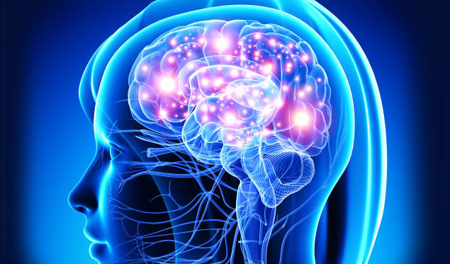 LOS PROCESOS COGNITIVOS