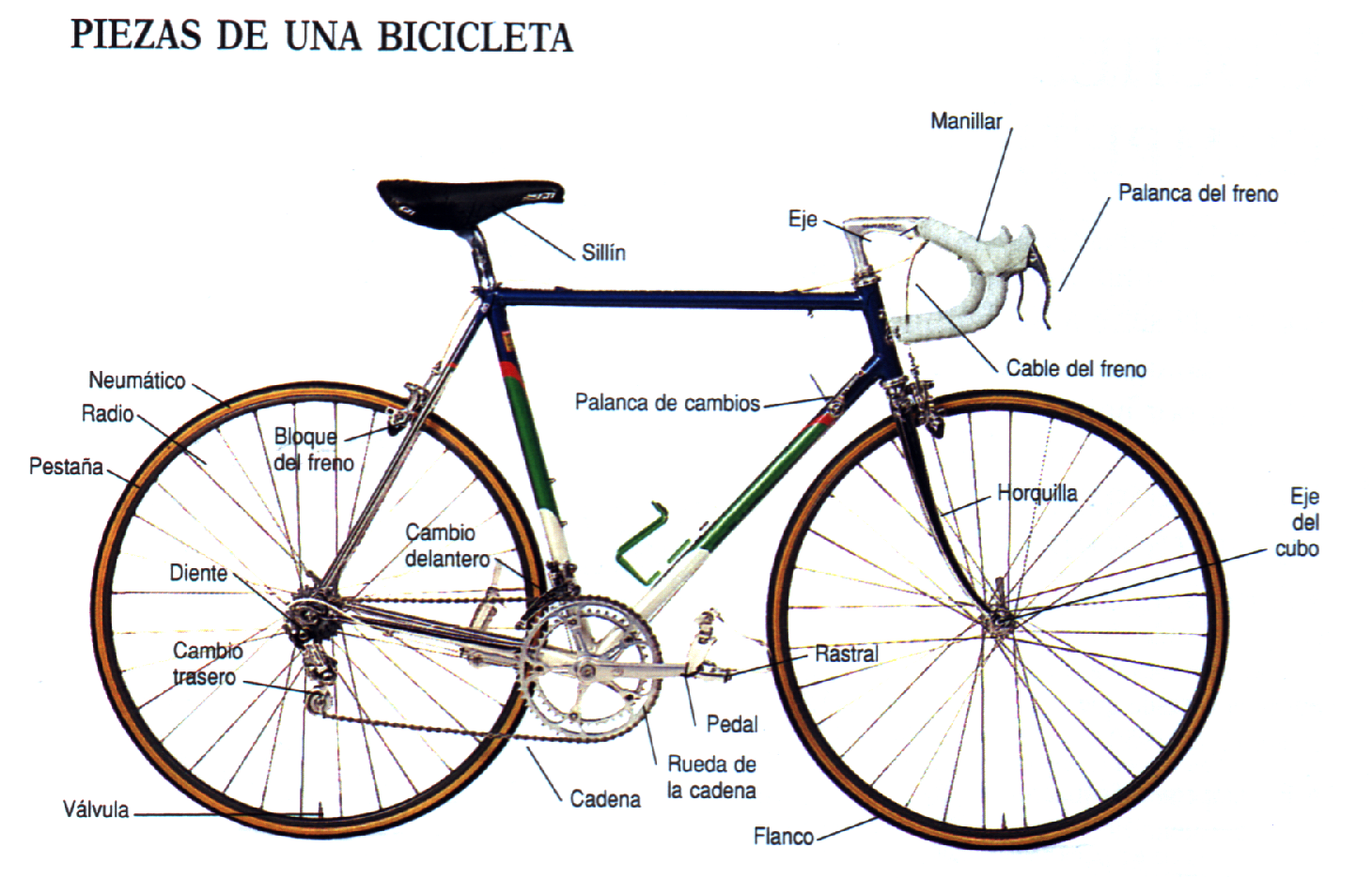 El mundo de la bicicleta y susu posibilidades