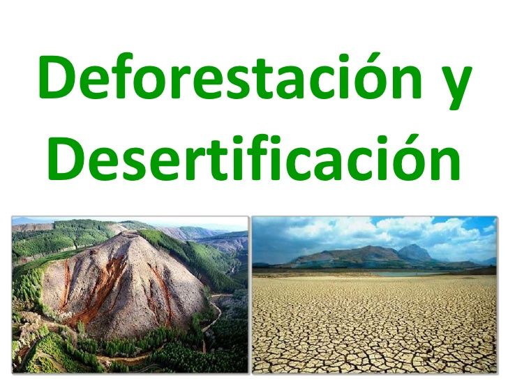 COMPORTAMIENTOS HUMANOS Y SU INCIDENCIA