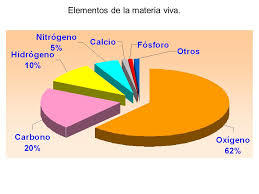 ORGANIZACION DE LOS SERES VIVOS Y EL AGUAA