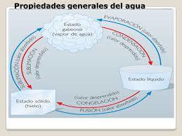 ORGANIZACION DE LOS SERES VIVOS Y EL AGUAA