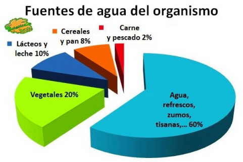 ORGANIZACION DE LOS SERES VIVOS Y EL AGUAA