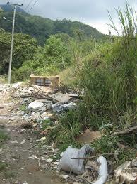 IBAGUE AMBIENTAL