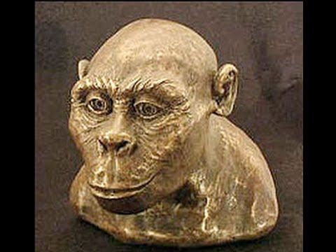 ORIGEN Y EVOLUCIÓN DE LA HUMANIDAD 1