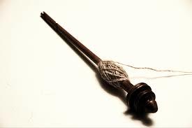 SISTEMA MUSCULAR
