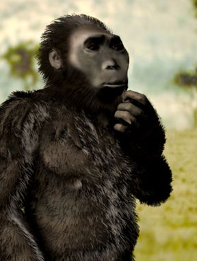 ORIGEN Y EVOLUCIÓN DE LA HUMANIDAD 1