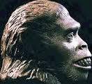 ORIGEN Y EVOLUCIÓN DE LA HUMANIDAD 1