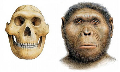 ORIGEN Y EVOLUCIÓN DE LA HUMANIDAD 1