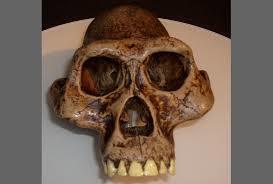 ORIGEN Y EVOLUCIÓN DE LA HUMANIDAD 1