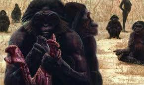 ORIGEN Y EVOLUCIÓN DE LA HUMANIDAD 1