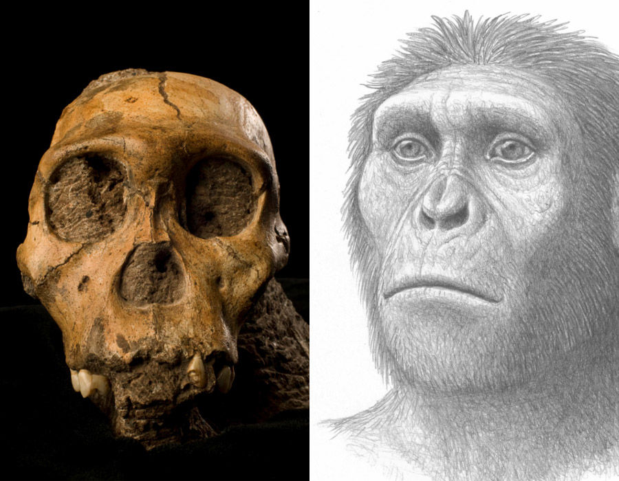 ORIGEN Y EVOLUCIÓN DE LA HUMANIDAD 1