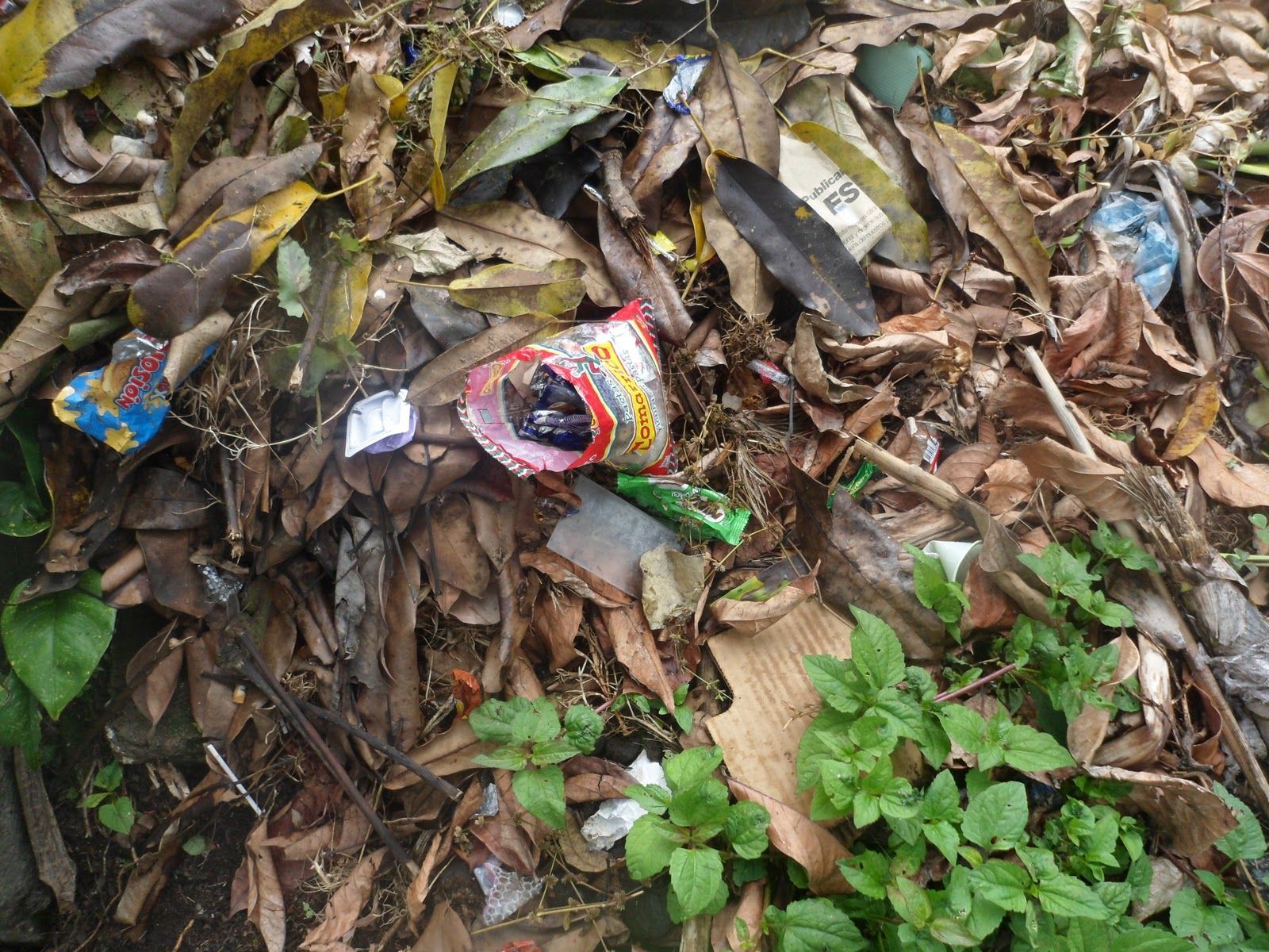 Problemas ambientales en la ciudad de la Plata Huila
