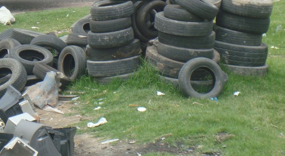 Problemas ambientales en la ciudad de la Plata Huila