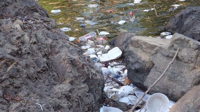 Problemas ambientales presentes en la ciudad de Valledupar