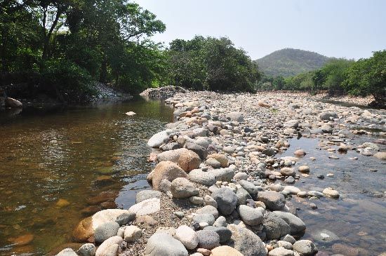 Problemas ambientales presentes en la ciudad de Valledupar