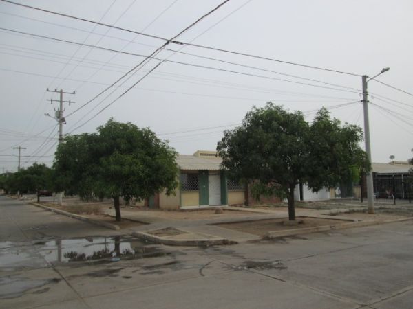Problemas ambientales presentes en la ciudad de Valledupar