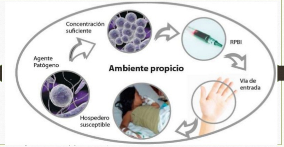 NOM-087-ECOL-SSA1-2002 Residuos peligrosos biológico-infecciosos
