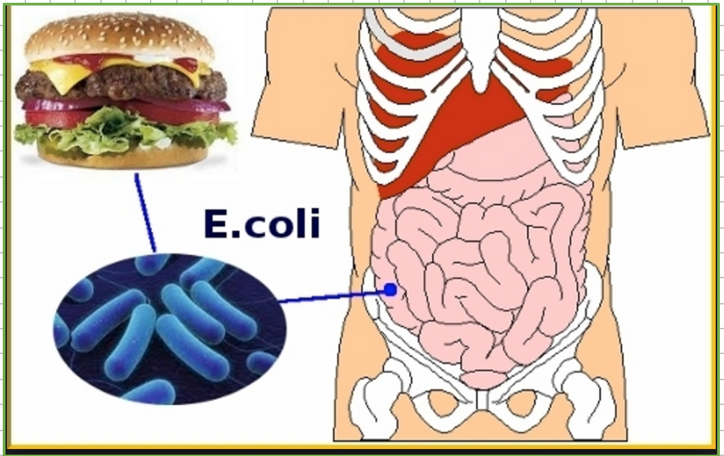 NOM-087-ECOL-SSA1-2002 Residuos peligrosos biológico-infecciosos