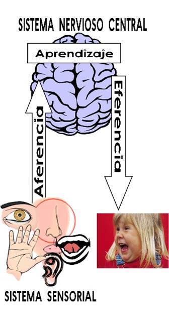 Las multivías y las nuevas generaciones