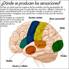 Las multivías y las nuevas generaciones